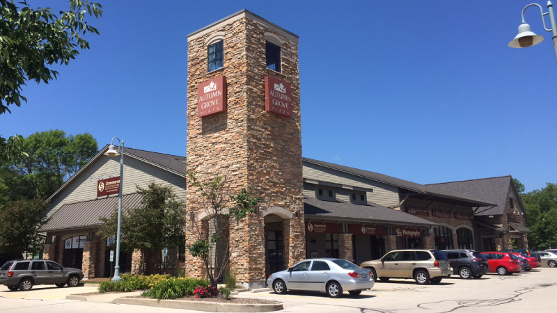 NEXT-Autumn-Grove-Photo