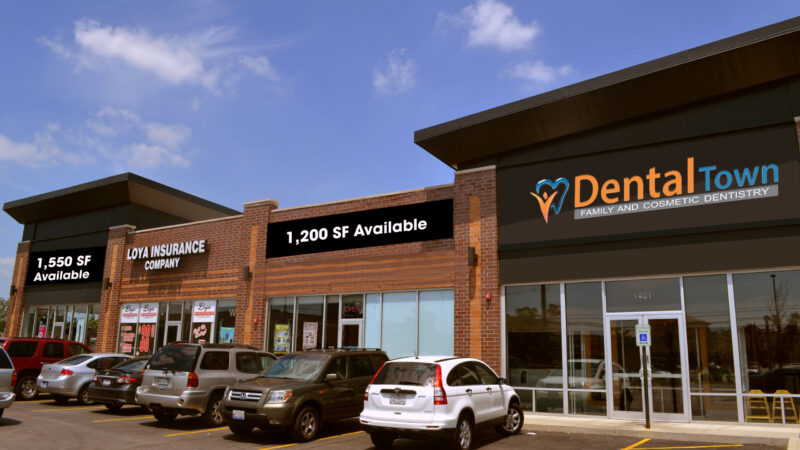 Parrot Plaza 008 Parrot Plaza 008