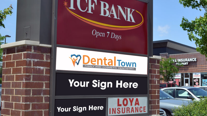 Parrot Plaza SMLL ????????????????????????????????????